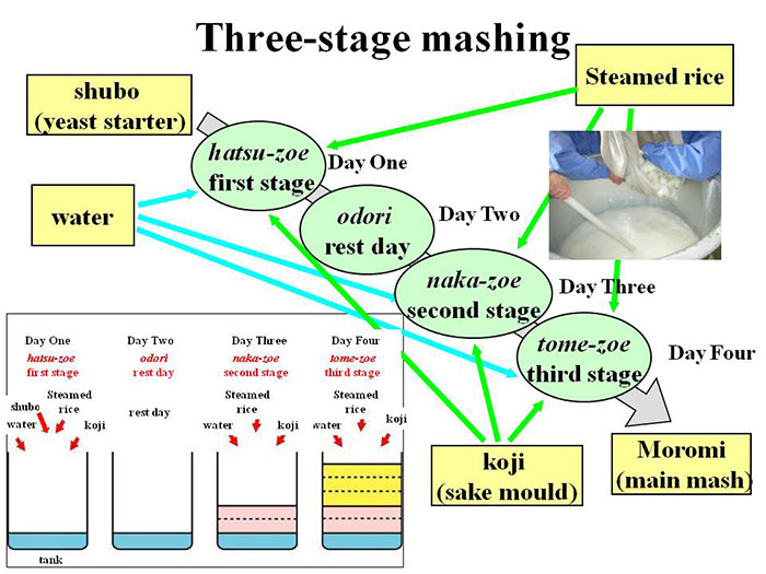 Three-stage mashing