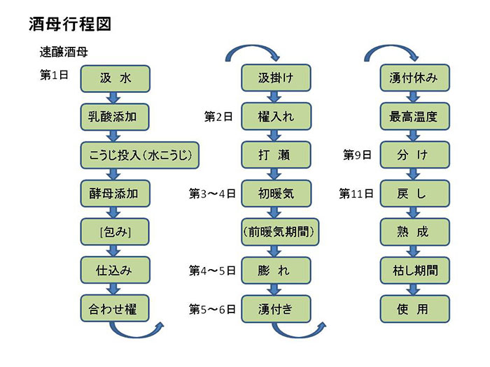 酒母工程図（速醸酒母）