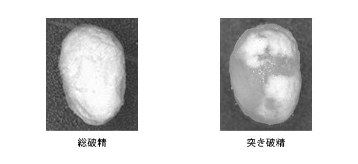 総破精と突き破精